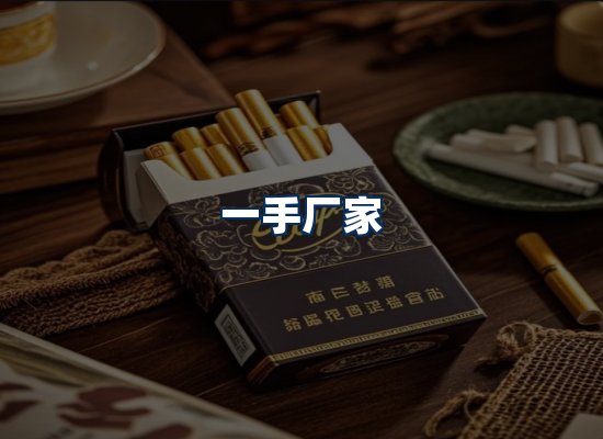 专业团队办公环境